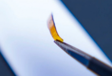 科學家創(chuàng)造了一種新型的人造肉可以像真實的東西一樣自我修復