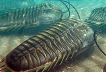 陸地動(dòng)物早在海洋生物之前就死于地球上最大的滅絕中