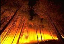網(wǎng)絡(luò)助長(zhǎng)了理解野火的強(qiáng)烈愿望