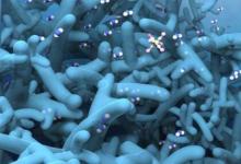 3-D納米薄膜取材自生物學