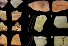 布里斯托大學(xué)為古代東非牧民的飲食和生存實(shí)踐提供了第一個(gè)證據(jù)