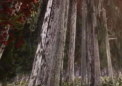 虛擬現(xiàn)實(shí)森林可以幫助人們了解氣候變化