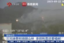 3人祭祀燒毀山林被罰種2000棵樹