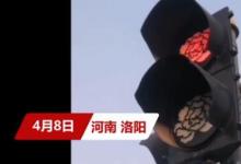 洛陽(yáng)部分紅綠燈變成牡丹形狀大獲網(wǎng)友好評(píng)