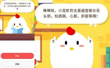 螞蟻莊園7月9日 小雞寶寶考考你“夜宵霸主”小龍蝦它們的心臟長(zhǎng)在身體的什么位置?