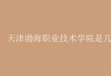 教育資訊:天津渤海職業(yè)技術(shù)學(xué)院是幾本