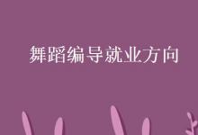 教育資訊:舞蹈編導(dǎo)就業(yè)方向