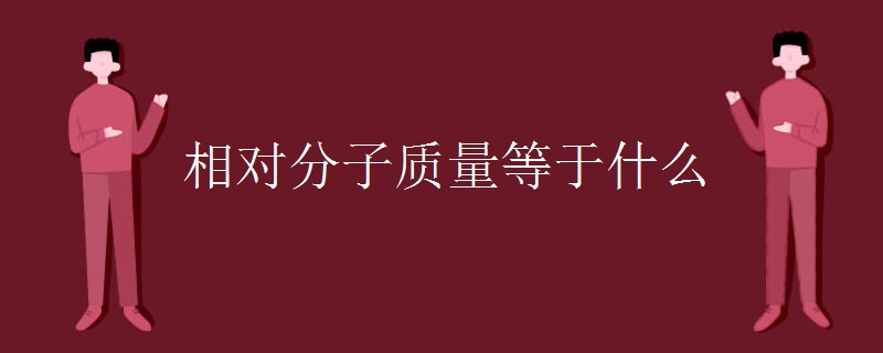 相對分子質(zhì)量等于什么