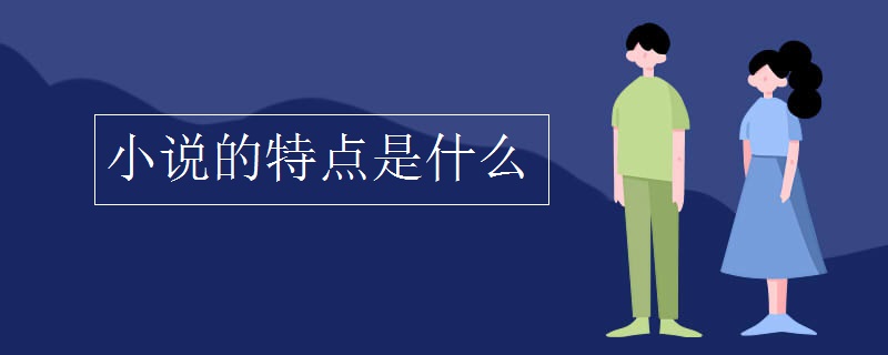 小說的特點(diǎn)是什么