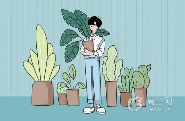 熱島效應是什么意思