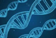 科學(xué)家發(fā)現(xiàn)RNA片段可以寫回DNA