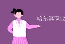 教育資訊:哈爾濱職業(yè)技術(shù)學(xué)院是幾本