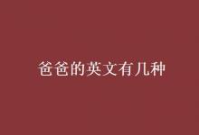 教育資訊：爸爸的英文有幾種