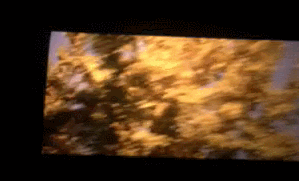 范冰冰馬震視頻動(dòng)態(tài)圖 范冰冰楊貴妃馬震gif