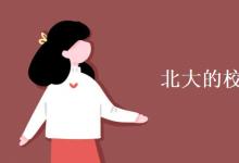教育資訊：北大的?；帐钦l設(shè)計(jì)