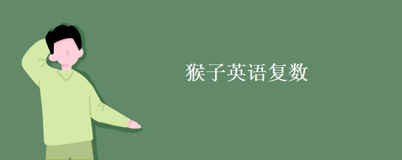猴子英語復數(shù)