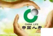 日常生活:中國十大壽險(xiǎn)排行榜