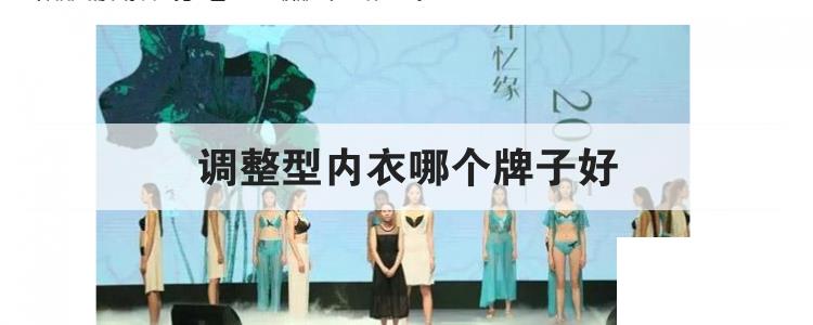 調整型內衣哪個牌子好