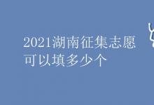 教育資訊：2021湖南征集志愿可以填多少個