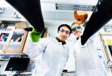 科學家創(chuàng)造新的室內(nèi)有機太陽能電池