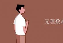 教育資訊:無理數(shù)是實數(shù)嗎