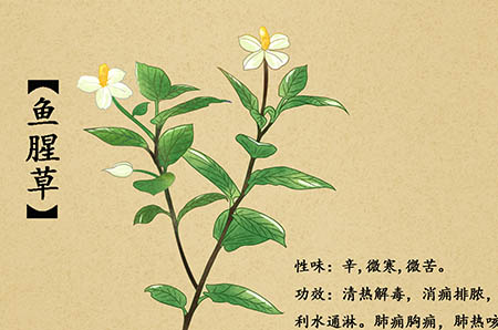 彩色恐龍簡(jiǎn)筆畫(huà)怎么畫(huà)5