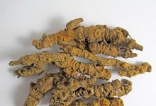 小動(dòng)物簡(jiǎn)筆畫老虎