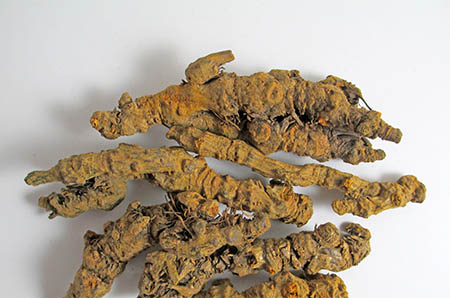 洋蔥簡(jiǎn)筆畫怎么畫3