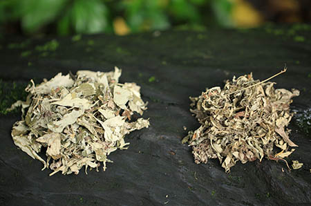 美味蛋糕簡(jiǎn)筆畫3