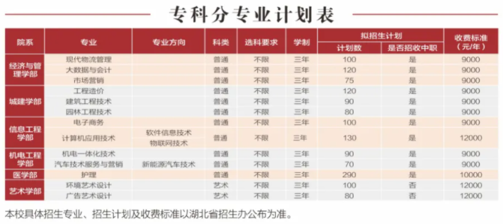 武漢城市學院2.png