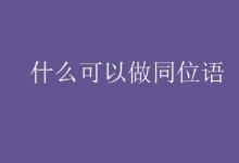 教育資訊:什么可以做同位語