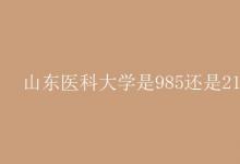教育資訊:山東醫(yī)科大學(xué)是985還是211
