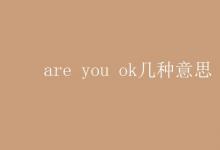 教育資訊：are you ok幾種意思