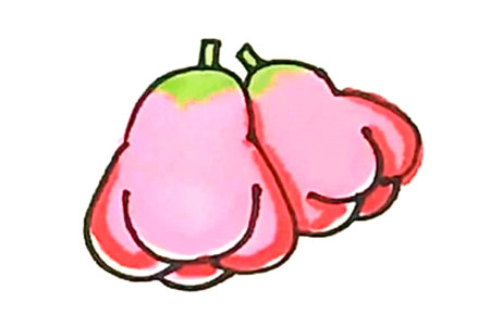 蓮霧簡(jiǎn)筆畫(huà)畫(huà)法及涂色4