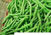 日常生活:四季豆的營(yíng)養(yǎng)價(jià)值
