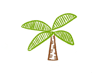 椰子樹(shù)簡(jiǎn)筆畫(huà)帶顏色3