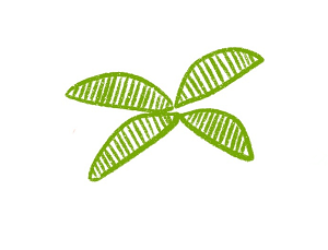 椰子樹(shù)簡(jiǎn)筆畫(huà)帶顏色2
