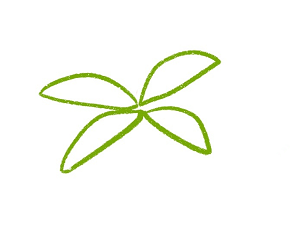 椰子樹(shù)簡(jiǎn)筆畫(huà)帶顏色1