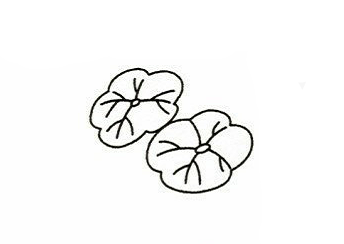 荷花簡筆畫步驟分解圖3