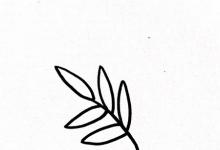 含羞草簡(jiǎn)筆畫步驟圖