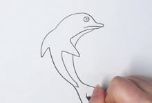 海豚簡筆畫步圖