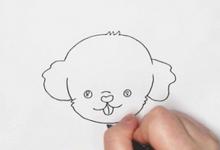 泰迪犬簡筆畫