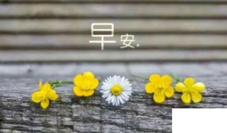 早上的問候語大全