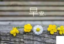 日常生活：早上的問(wèn)候語(yǔ)大全