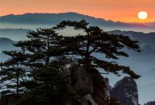 日常生活:五岳歸來不看山黃山歸來不看岳的意思是什么