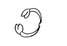 蝎子怎么畫簡(jiǎn)筆畫可愛(ài)？