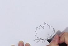 水仙花的簡(jiǎn)筆畫(huà)