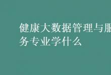 教育資訊：健康大數(shù)據管理與服務專業(yè)學什么