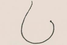 如何畫鯰魚簡(jiǎn)單又漂亮