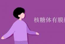 教育資訊:核糖體有膜結(jié)構(gòu)嗎